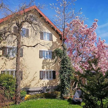 70Qm 3-Zimmer Apartment Am Tauernradweg In Hallein Bei Salzburg, Nahe Berchtesgaden, Rossfeld, Kehlsteinhaus, Obersalzberg, Watzmann, Schoenau Am Koenigsee, Bad Vigaun, Schloss Hellbrunn, Burg Hohen Salzburg, Burg Hohen Werfen # Beherbergungsbetrieb Bagian luar foto