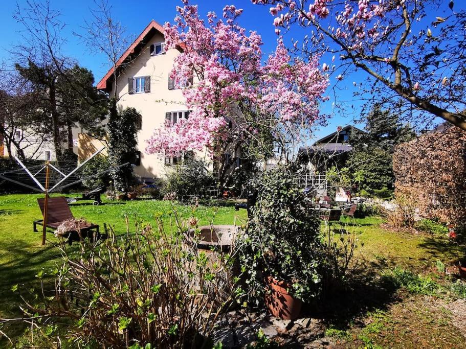 70Qm 3-Zimmer Apartment Am Tauernradweg In Hallein Bei Salzburg, Nahe Berchtesgaden, Rossfeld, Kehlsteinhaus, Obersalzberg, Watzmann, Schoenau Am Koenigsee, Bad Vigaun, Schloss Hellbrunn, Burg Hohen Salzburg, Burg Hohen Werfen # Beherbergungsbetrieb Bagian luar foto